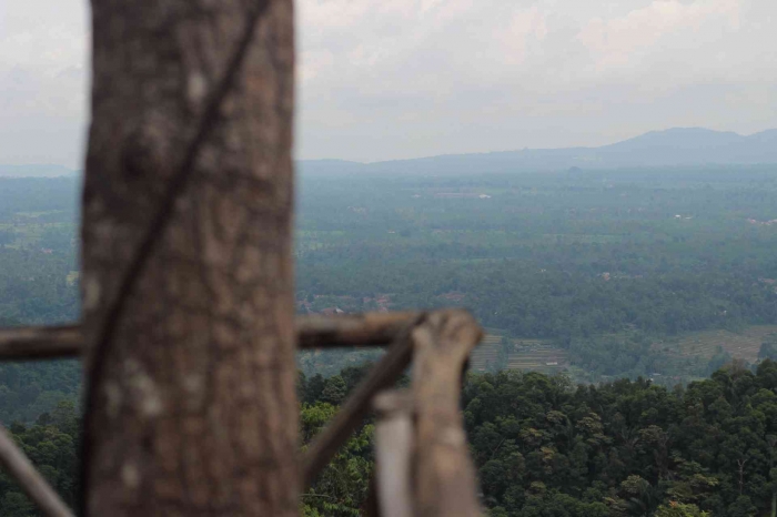 Panorama Dataran Tinggi ditengah Perjalanan menuju Cupunagara (dokpri)
