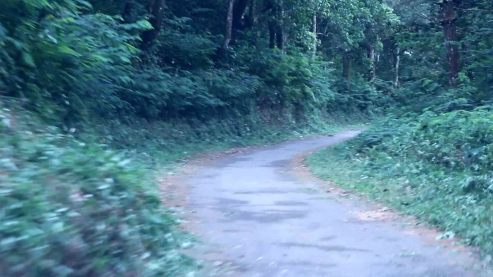 Jalan Menuju Cupunagara (dokpri)