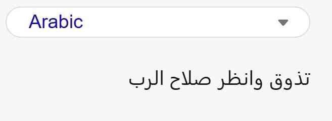 Microsoft Bing Translate