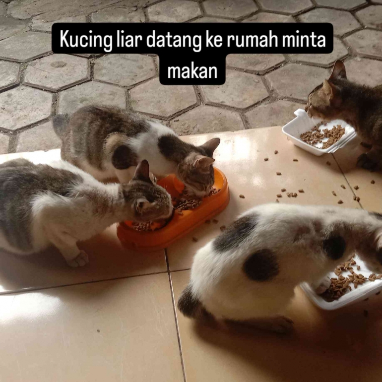 Input sumber gambar dokpri