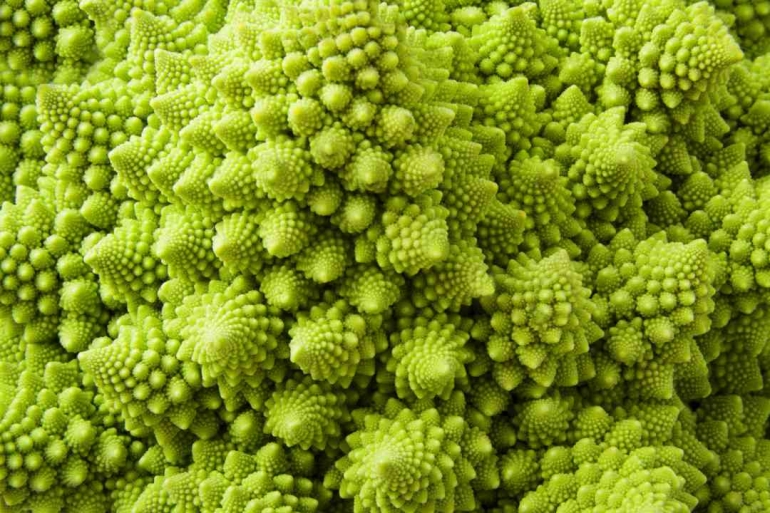Sumber: Phenomenal natural fractal patterns all around you (starsinsider.com)