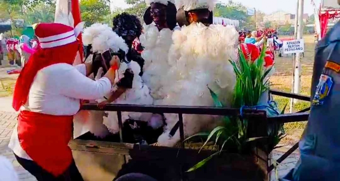 Shaun The Sheep dan Farmer Berbaju Lurik, Gerak Jalan Berkostum Lucu dan Unik (dokpri)