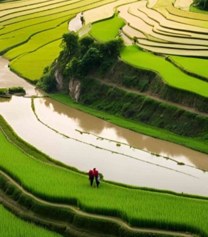 Jalan santai Bersama Keluarga Keliling Desa dengan variasi rute(dokpri, gambar AI diolah dengan canva)