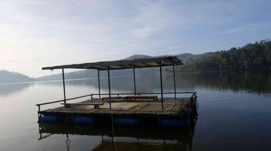 Koleksi Pribadi/Imroah Qurotul 'Aini