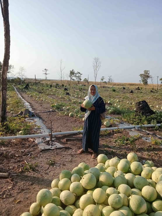 Dokpri: pengalaman pertama datang ke kebun semangkaÂ