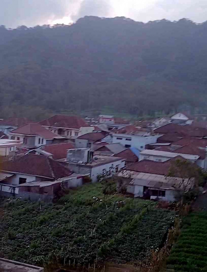 Kebun bunga krisan dan kebun stroberi di jalur Batu-Mojokerto tanpa macet libur panjang (dokpri)