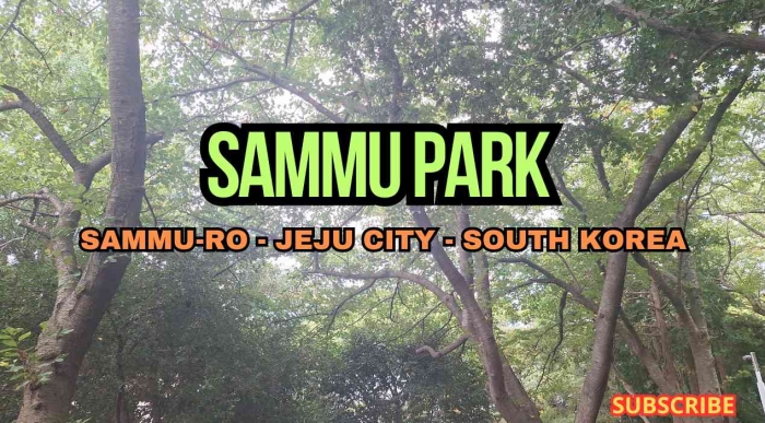 (Sumber: Dokumentasi Pribadi)