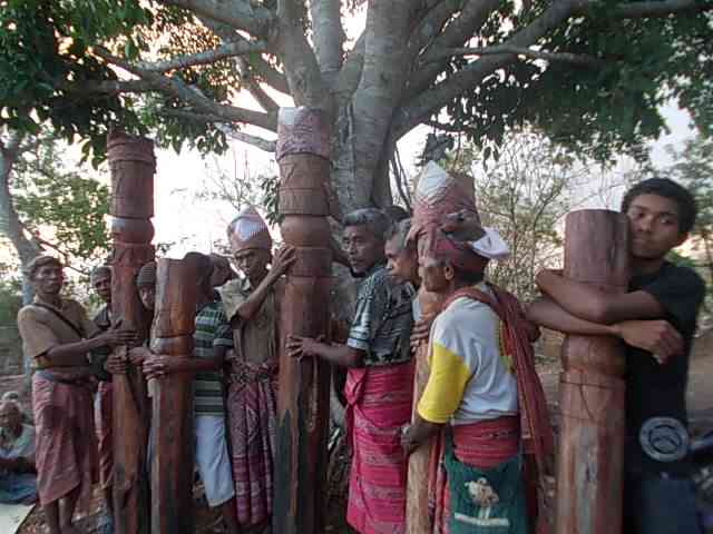 Persiapan terakhir untuk menanamkan tiang Bahane di tempat yang telah disediakan di depan rumah adat (dok foto: Greg Nafanu)