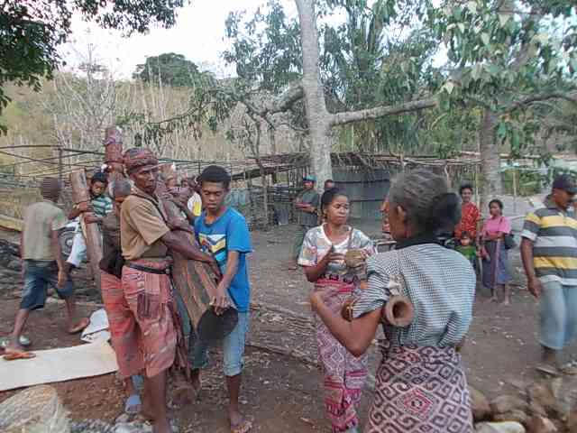 Upacara tahakeb bahane di sonaf Nafanu, diiringi tarian likurai (dok foto: Greg Nafanu)