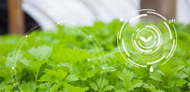 https://nig.co.id/2021/09/28/nanotechnology-untuk-manfaat-pertanian/