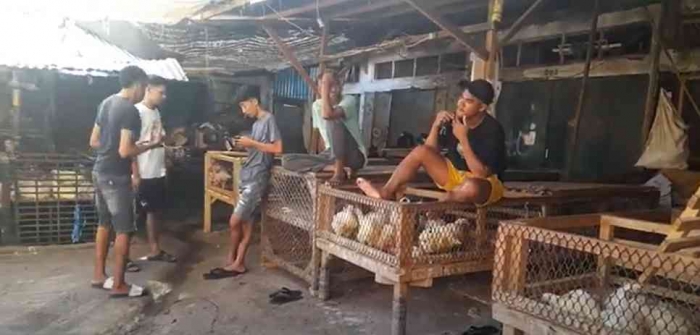 Penjual ayam potong di Pasar Kasih Kupang didominasi anak muda (dok foto: Greg Nafanu)