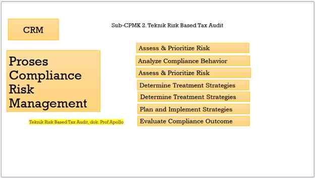 Teknik Risk Based Audit, dok Prof Apollo