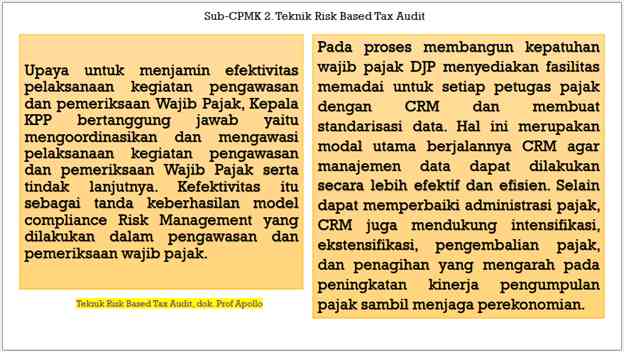 Teknik Risk Based Audit, dok Prof Apollo