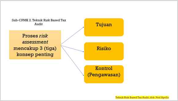 Teknik Risk Based Audit, dok Prof Apollo
