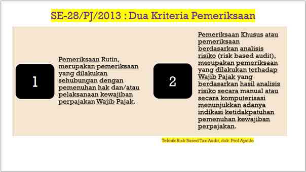 Teknik Risk Based Audit, dok Prof Apollo