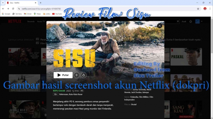 Modivikasi screenshot akun Netflix (dokpri)