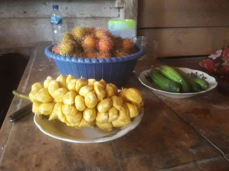 Inilah tampilan buah utuh Cempedak dengan aroma yang lebih tajam (dok foto: Greg Nafanu)