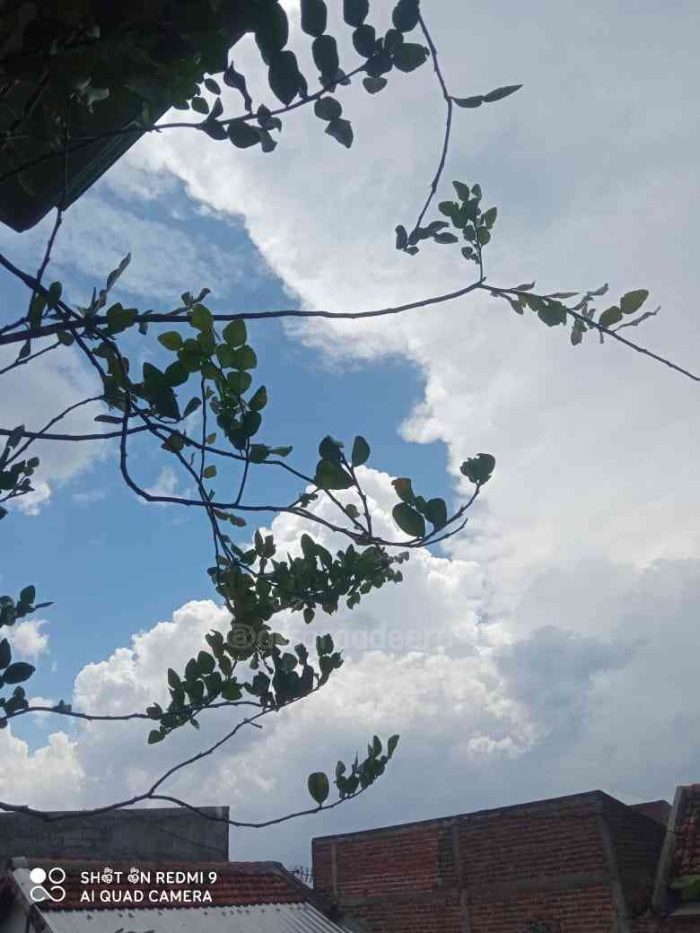 Potret awan dari balkon rumah (Dokpri)