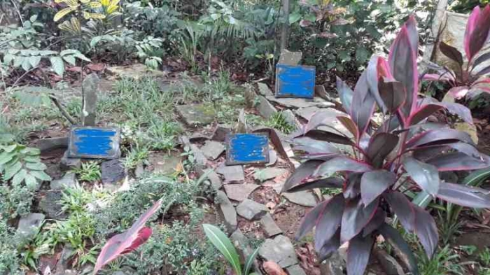 Tanah disamping makam Eyang Rangga kami jadikan makam keluarga (dokpri)