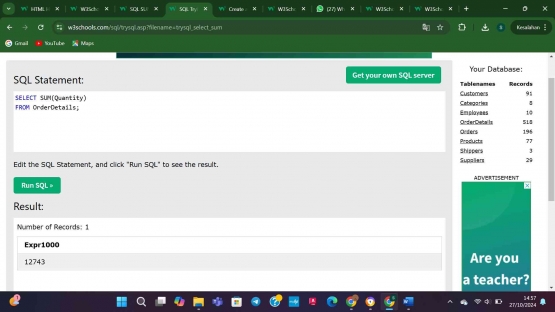 https://www.w3schools.com/sql/trysql.asp?filename=trysql_select_sum