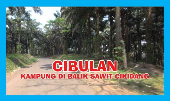 Menyusuri Cibulan, kampung di balik hambaran kebun sawit Cikidang, Sukabumi. Foto: Isson Khairul