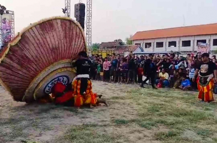 Penari dadak merak bisa bangkit lagi saat dibantu teman-temannya 1 tim (dokumentasi pribadi)