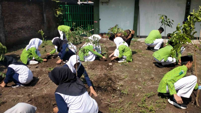 Kader Adiwiyata dan OSIM menanam tanaman (dok pribadi)