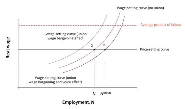 Figure 6: The bargained wage-setting curve and labour market equilibrium when there is a union voice effect. (Core, 2017)