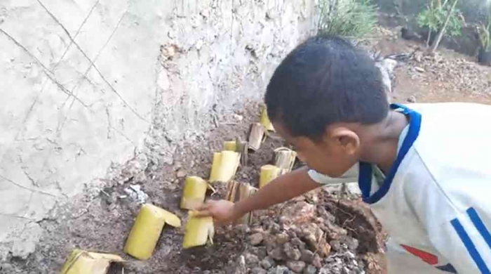 Menutup dan membuka penaung sederhana bibit sayuran Pakcoy saat dipindahkan (dok foto: Greg Nafanu)