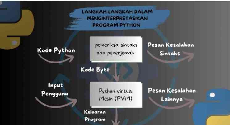 Dok. Prof. Apollo