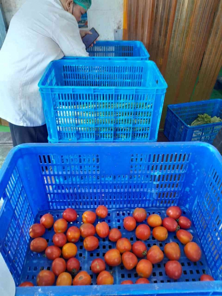 Mengupas Pentingnya Sortasi Kelayakan Produk dalam Proses Receiving ...