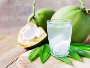 Perbedaan Es Degan dan Es Kelapa yang Anda Harus Tau Halaman 1 - Kompasiana.com