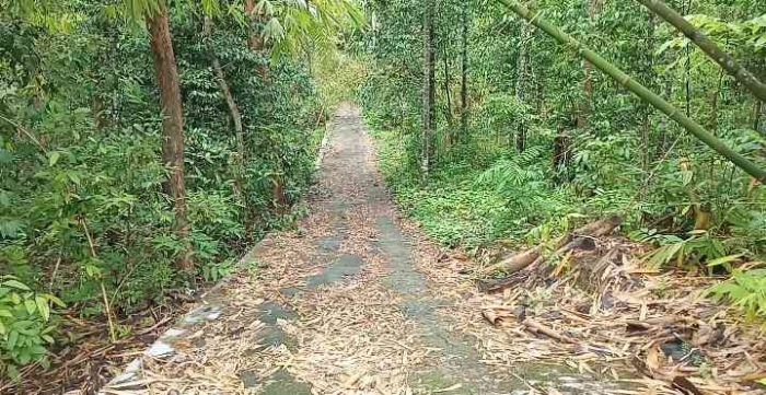 Salah satu jalan di Bukit Guwosari yang akan dibangun UIN, Yogyakarta. | Dokpri