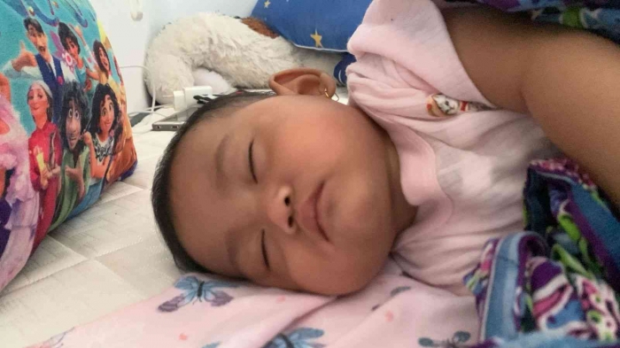 Atisa sedang tidur/dokpri