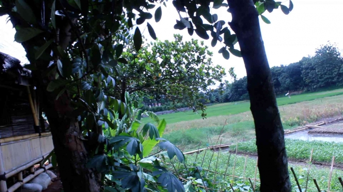 Foto pemandangan di belakang (Sumber: Dokumen pribadi)