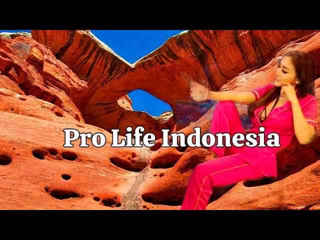 Dokumentasi Pro Life Indonesia