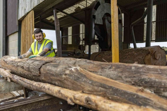 Sandringham Sawmill produces around 175 timber products for retail direct to the public. These include sawn timber and firewood. | Sandringham Estate.