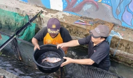 Kepala MTsN 1 Bantul, Sugiyono ikut memanen ikan (sumber:dokpri)