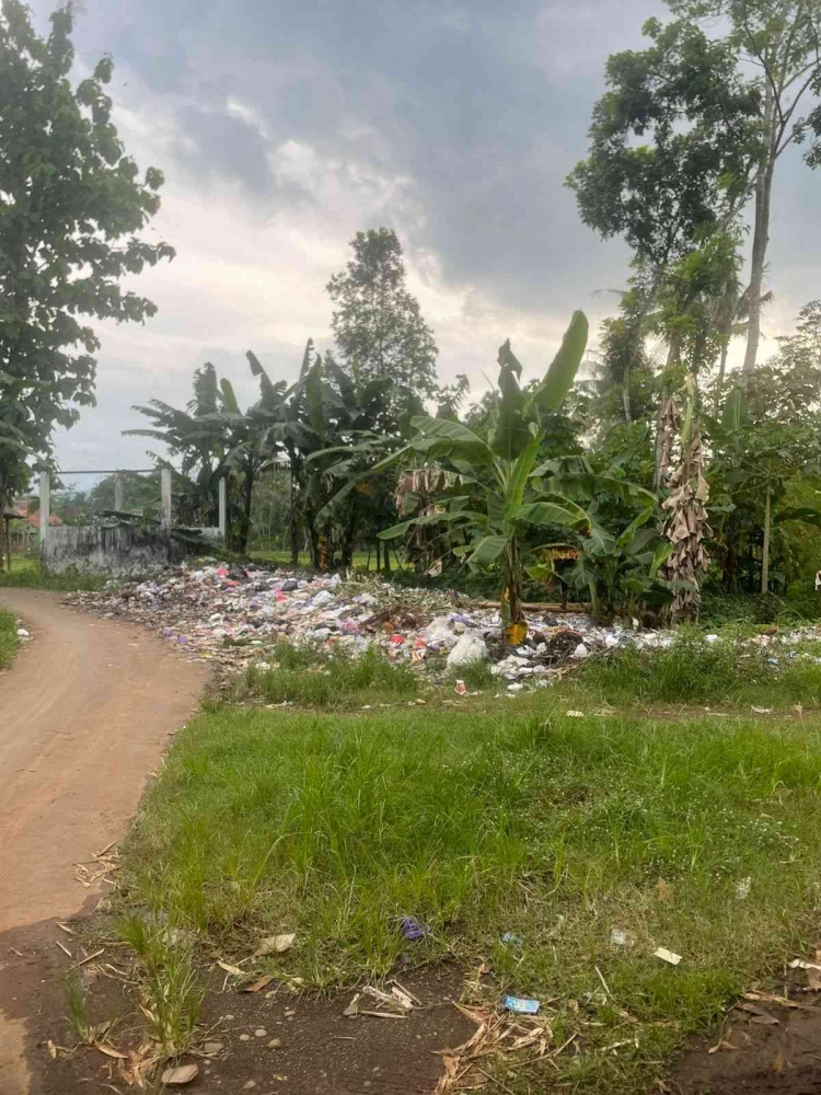 Gambar 2. Kondisi TPA Desa Kalimanggis (Sumber: Dokumentasi Pribadi, 2025)