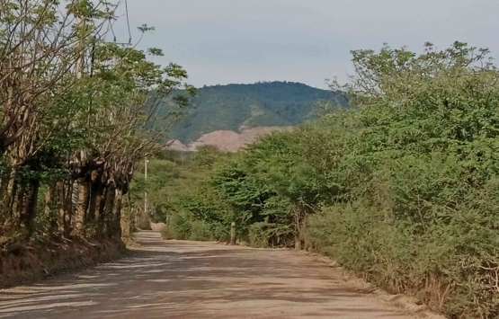 Ruas jalan menuju lokasi tambang emas PT CPM. Dok Pri