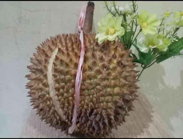 Durian Pandeglang (dok. Denik)