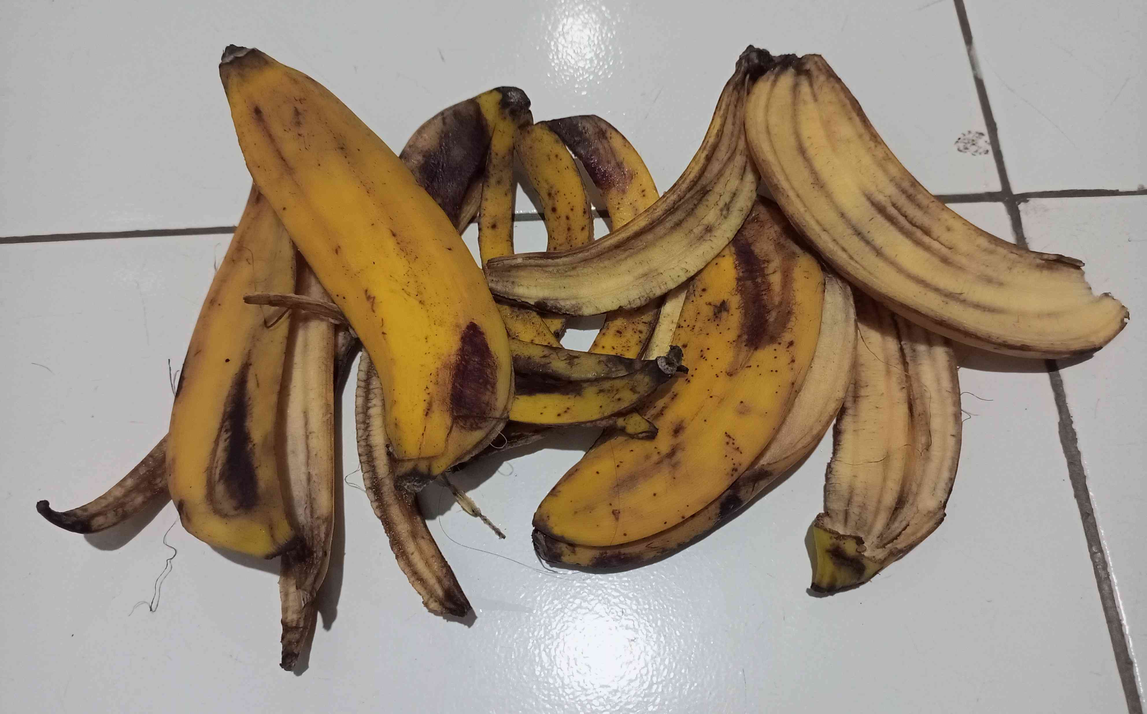 Limbah Kulit Pisang dari Sisa Makan Bergizi Gratis (MBG). (sumber foto: Jandris_Sky)