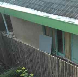 Pagar bambu kuning. Sumber: dokumen pribadi.