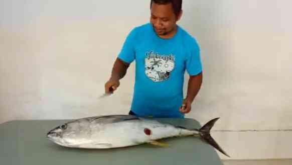 Memotong tuna: dokpri
