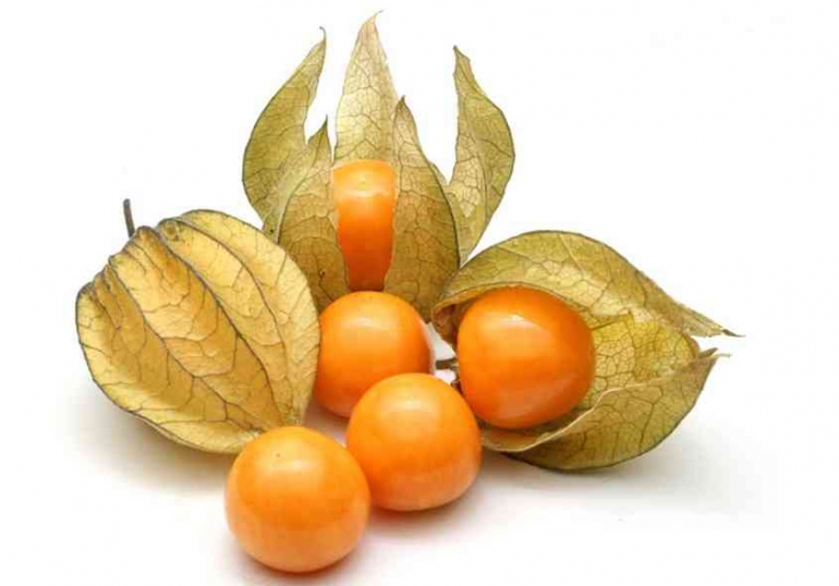 Foto: Buah Cipukan (Sumber: healthbenefitstimes.com)