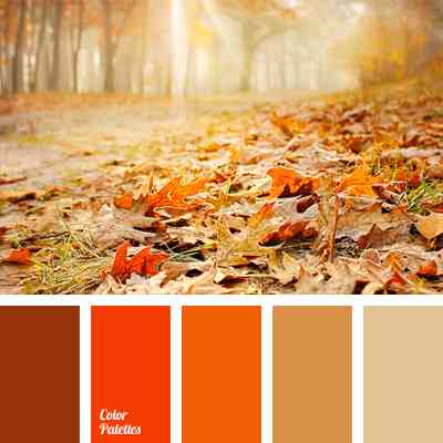 Orange color palettes (Source: ColorPalettes.net)