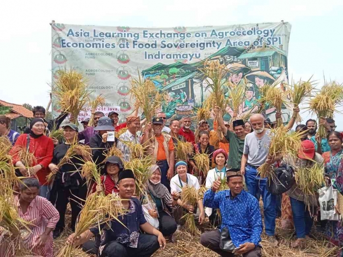 Panen raya di Kawasan Kedaulatan Pangan yang dikelola oleh Serikat Petani Indonesia SPI, dokumen pribadi