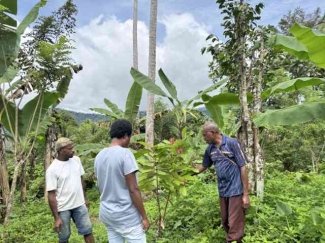 Pemerintah Perkuat Ketahanan Pangan Papua Lewat Sinergi Distribusi dan Pemberdayaan Masyarakat Pemerintah Perkuat Ketahanan Pangan Papua Lewat Sinergi Distribusi dan Pemberdayaan Masyarakat