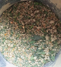 Hasil dari daun pepaya, nasi dan dedak+jagung giling untuk pakan ayam. (sumber foto: Jandris_Sky)