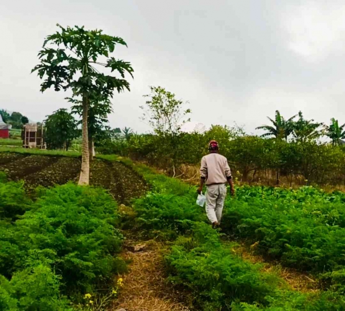 Mengikuti Pak Abel dari belakang (dokumentasi pribadi: Isti Yogiswandani)